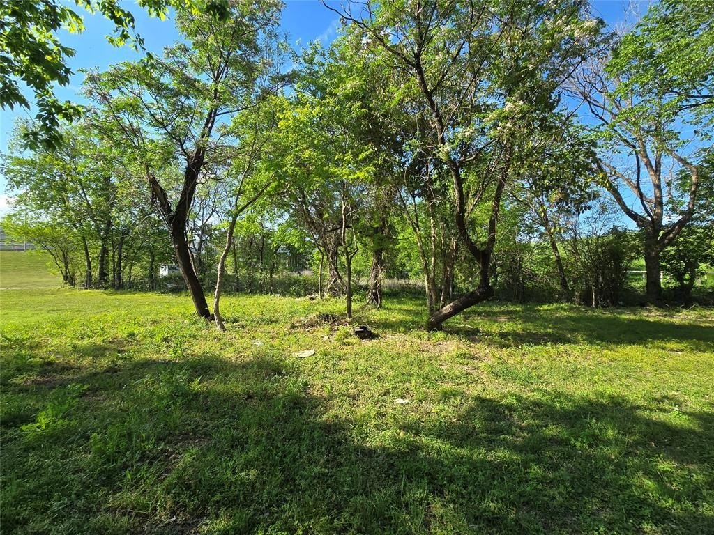 Picture 14