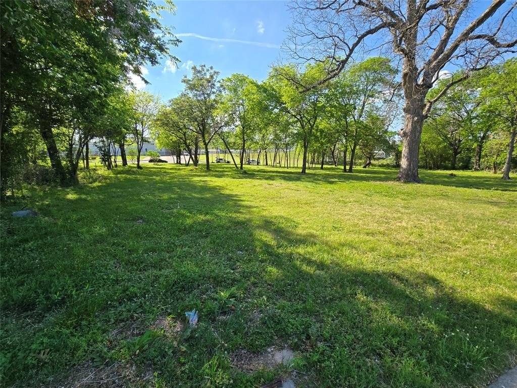 Picture 20