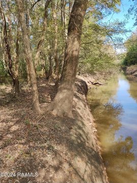 LAND - Arnaudville, LA