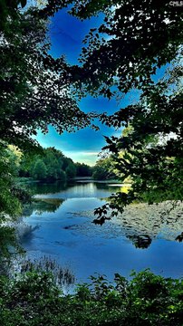 LOTS AND ACREAGE, Camden, SC