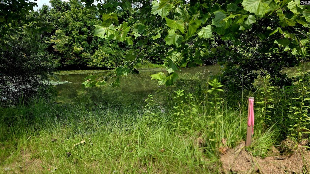 Picture 10