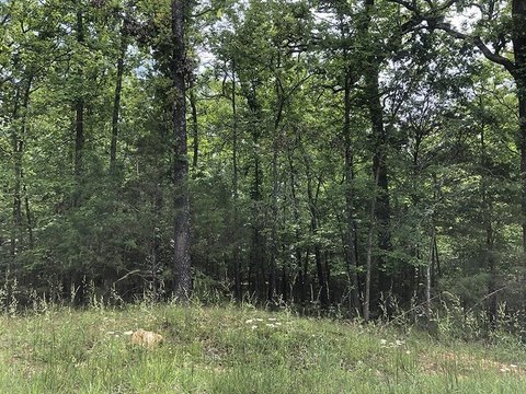 LAND - Horseshoe Bend, AR