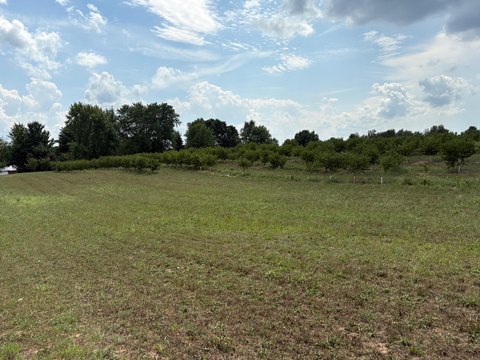 Southwest Michigan 5-Acre Parcels