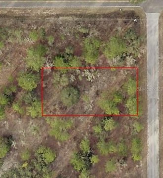 Rainbow Lakes Estates Wooded Lot