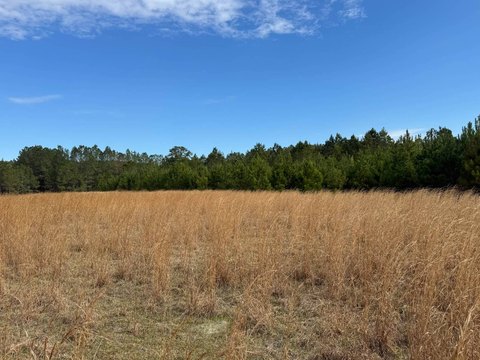 2.26 Acres Vacant Land