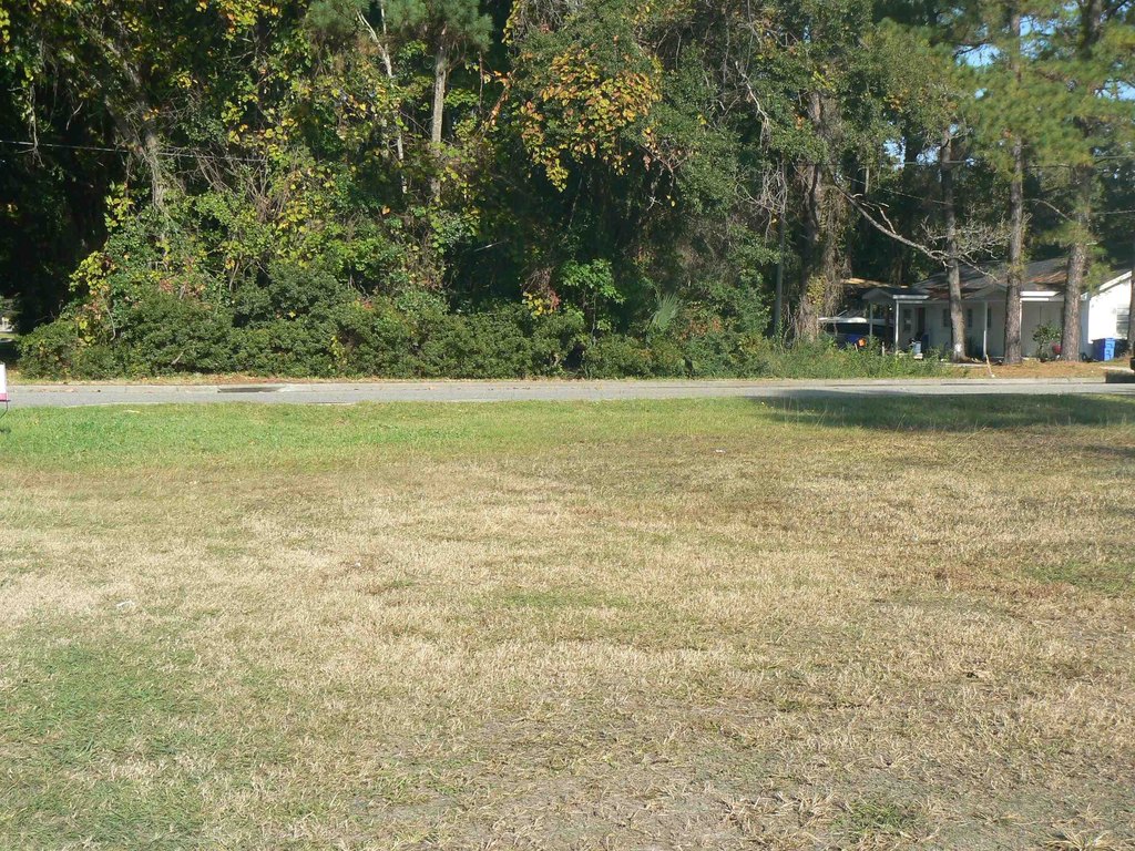 Picture 2