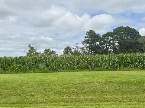 Creek Front Lot Available