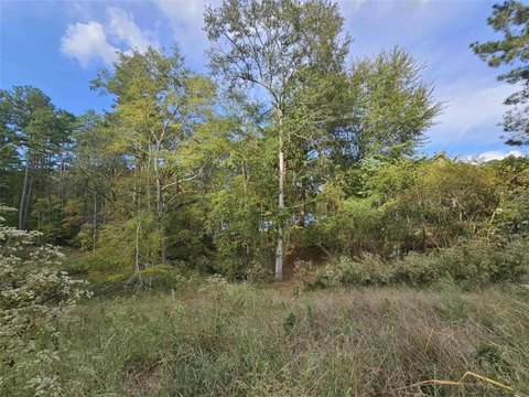 Lake Hartwell Homesite in Toccoa