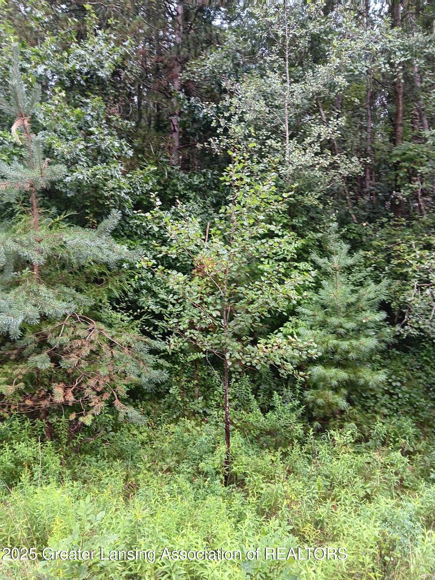 Land in Private Owosso Area