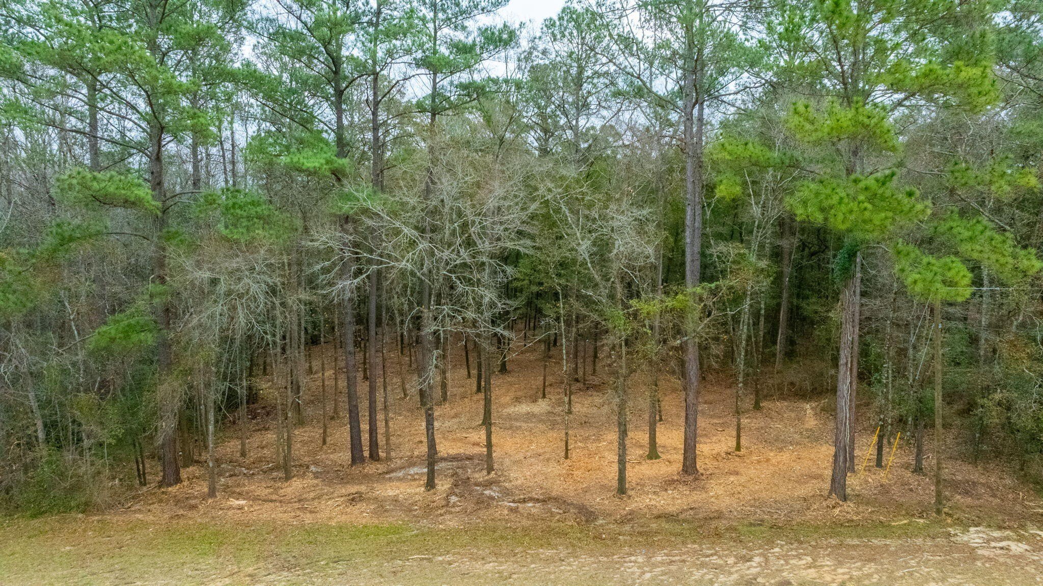 Residential Lot on Highway 85