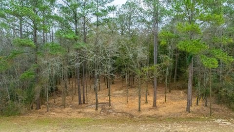 Land, Laurel Hill, FL