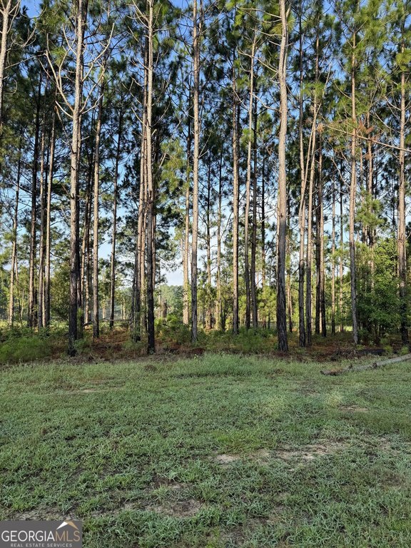 Picture 6