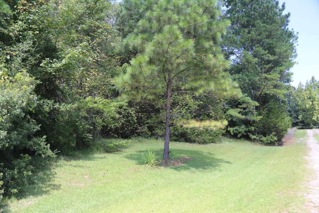 Picture 3