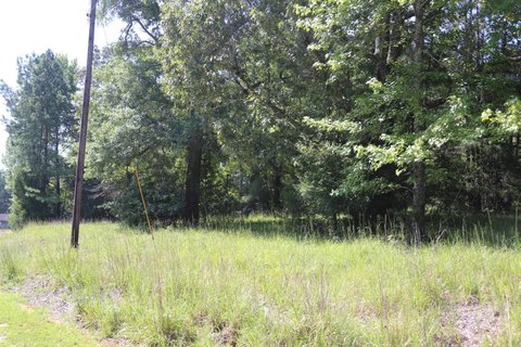 Land, Valley Grand, AL