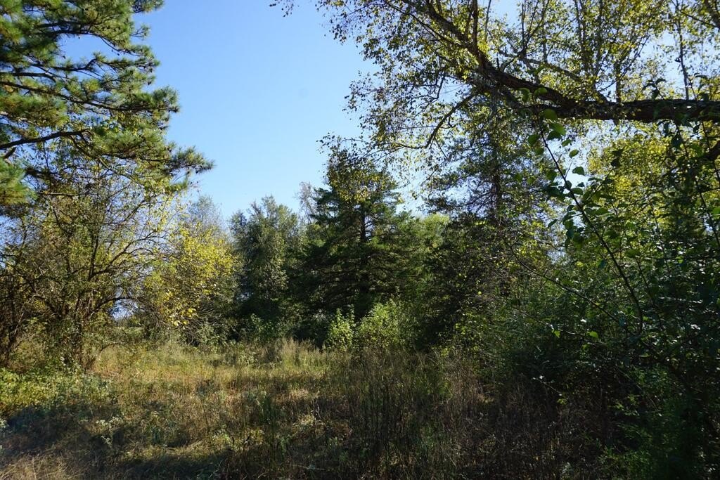 Picture 16