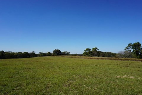 Land, TX