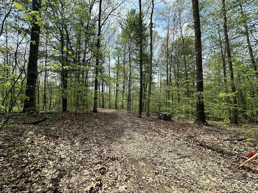 Picture 15