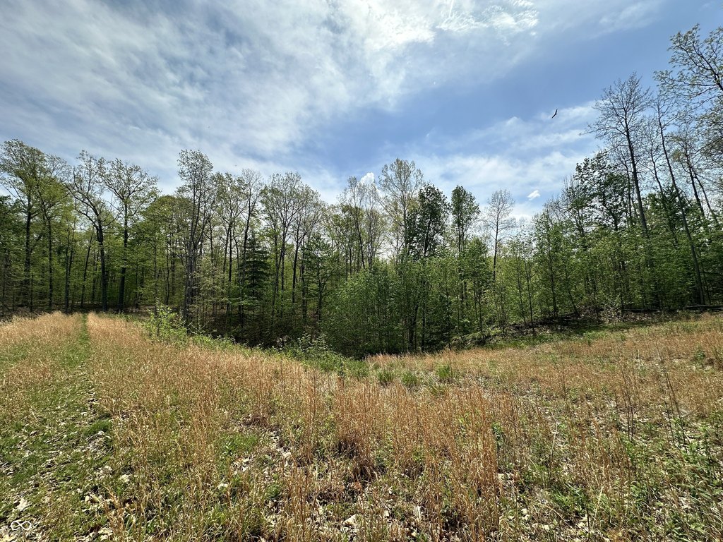 Picture 19