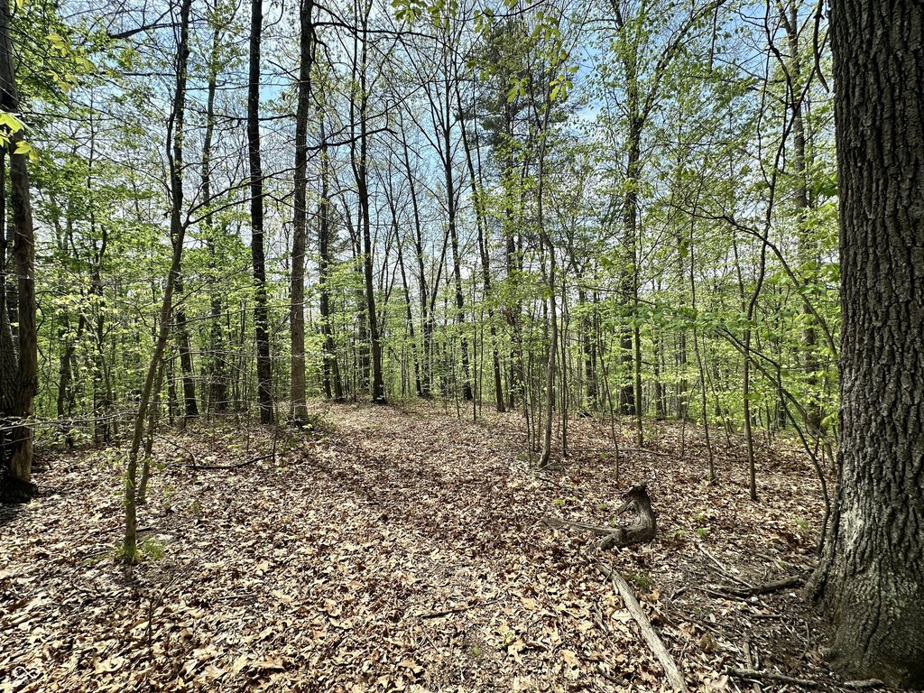 Picture 32