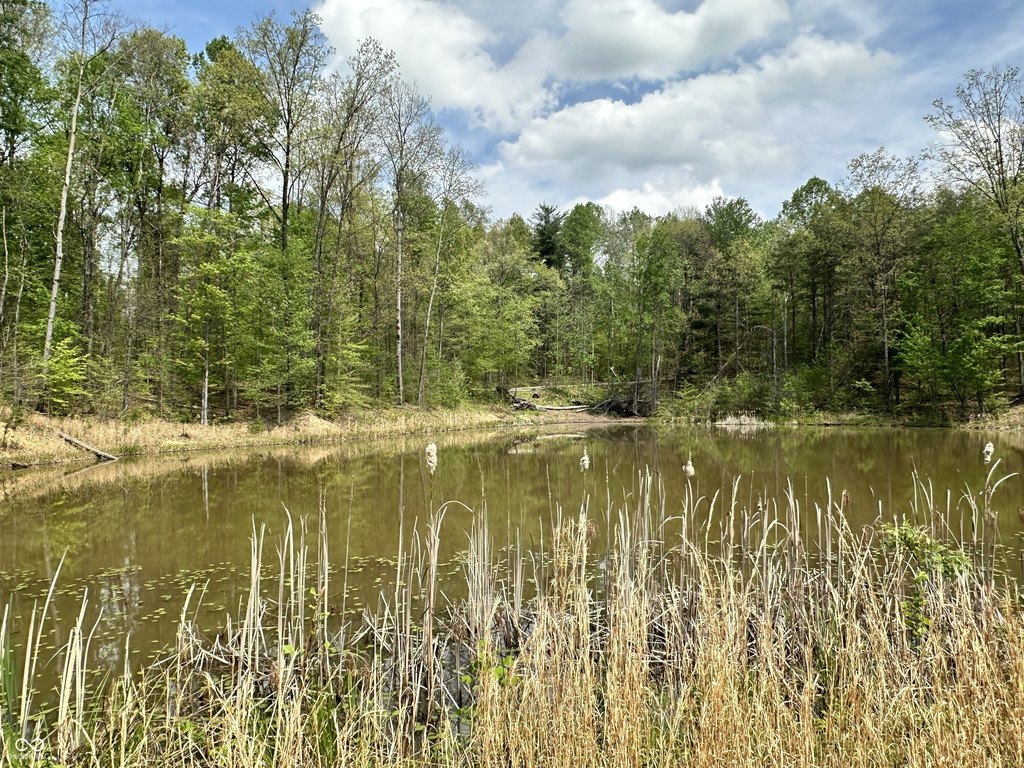 Picture 29
