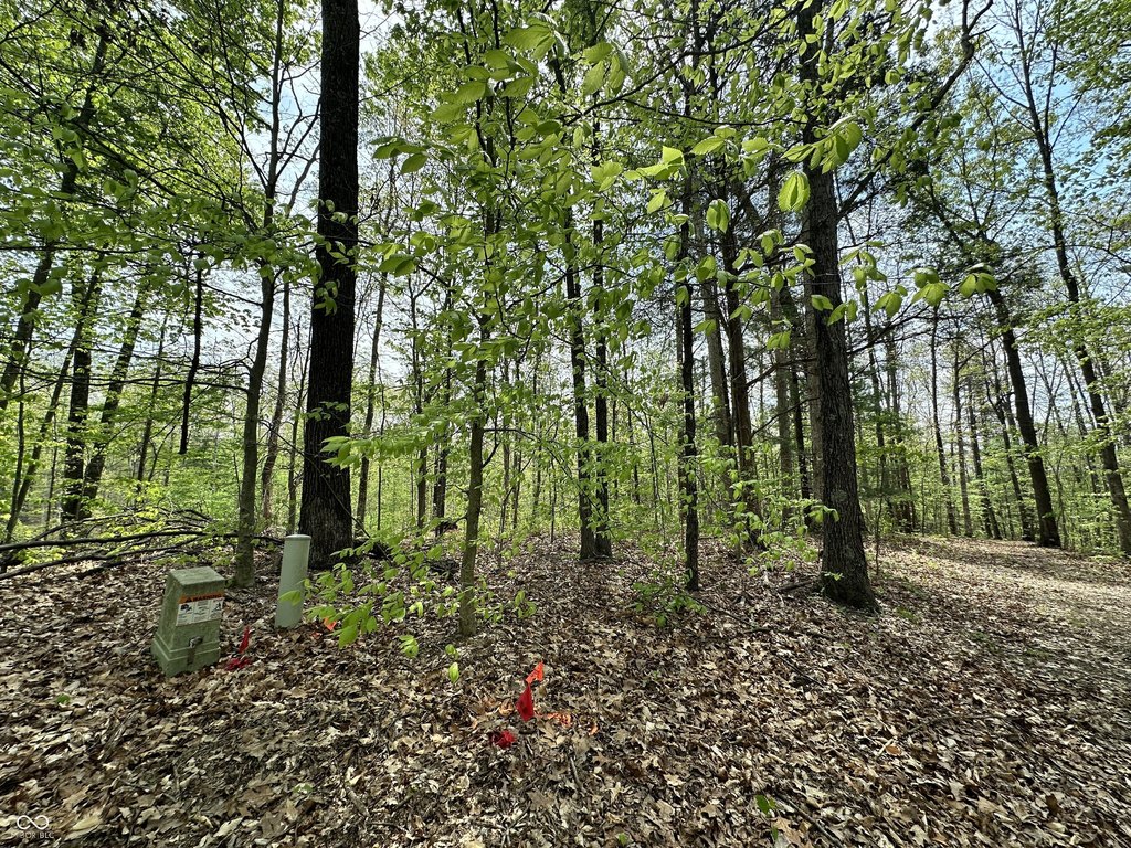 Picture 26
