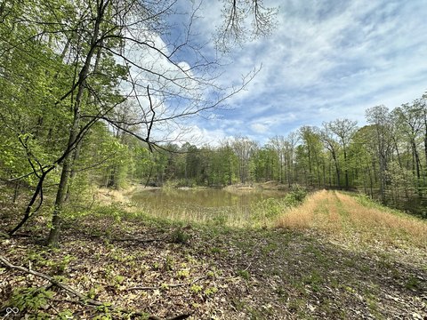 Waterfront Residential Land Lot