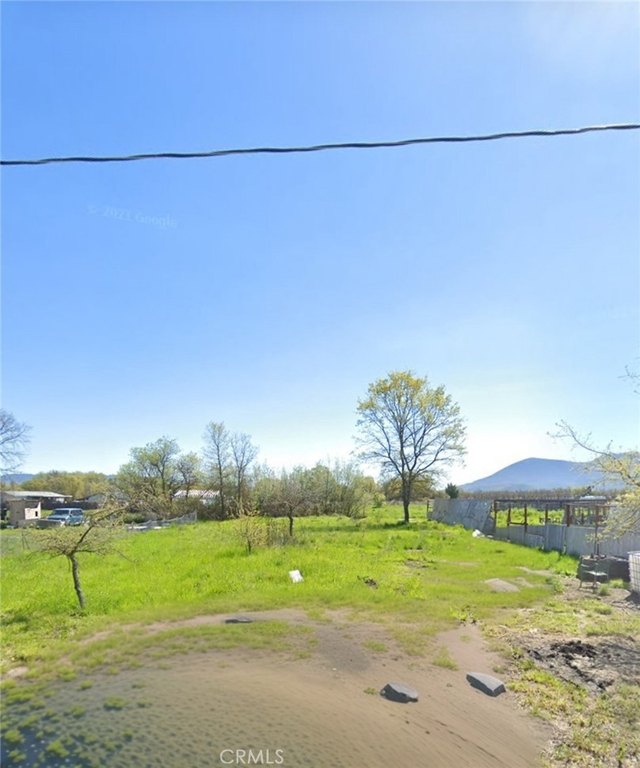 Picture 3