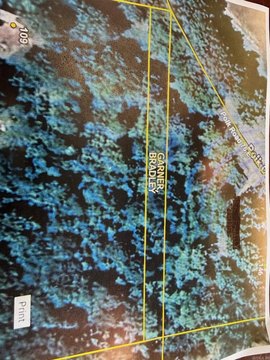 Wooded Lot Near Mena