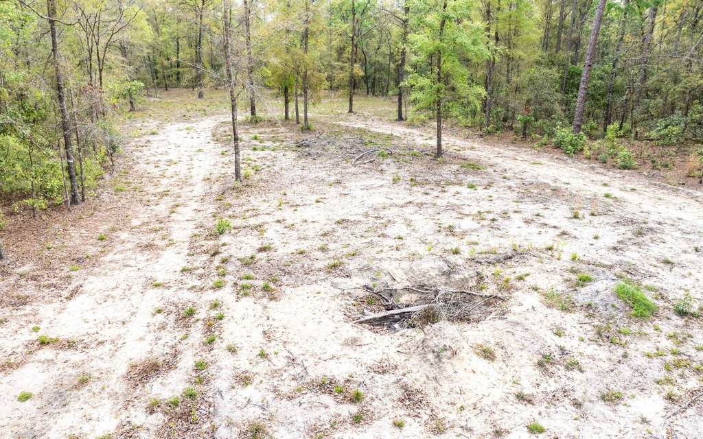Picture 3