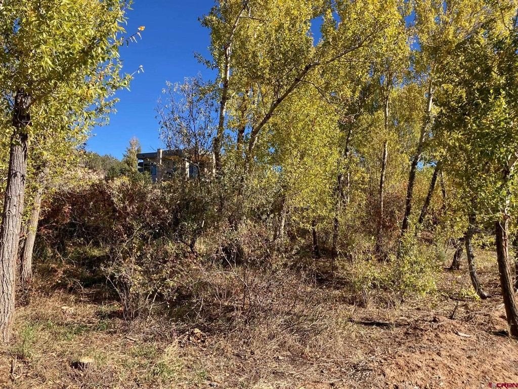 Picture 21