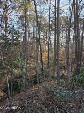 Residential Land in Macon, GA