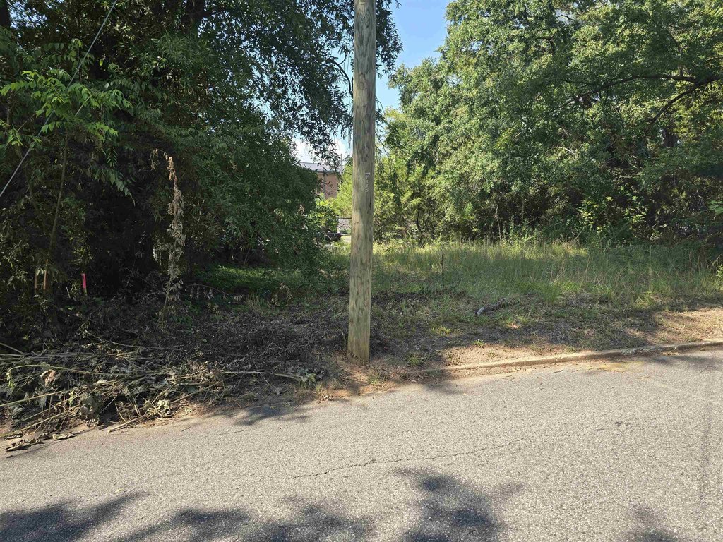 Picture 6