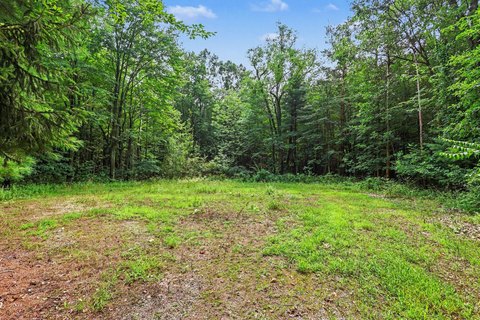 LAND - West Olive, MI