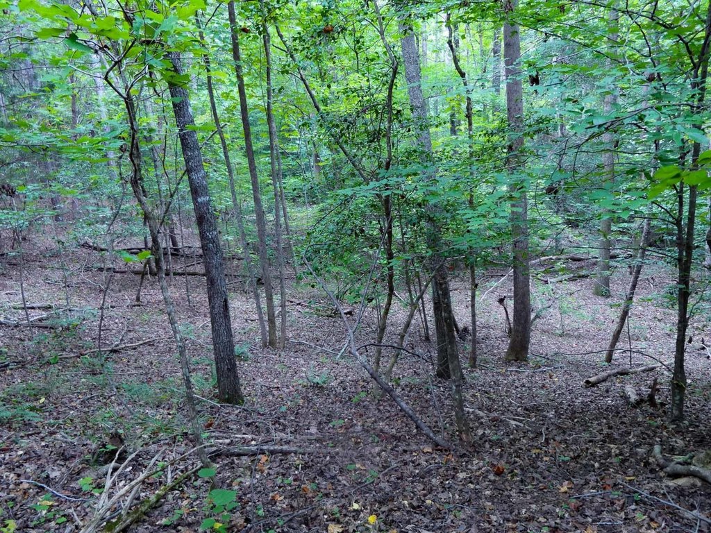 Picture 17