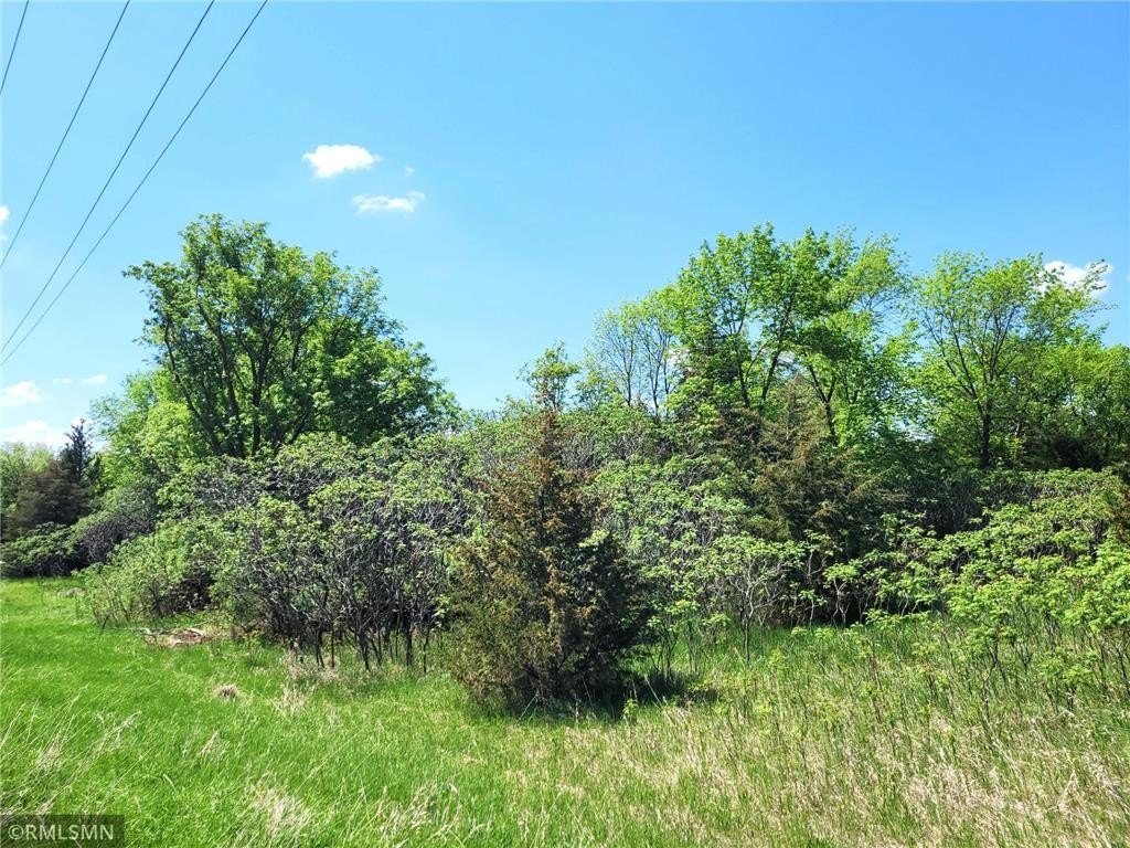 Picture 19