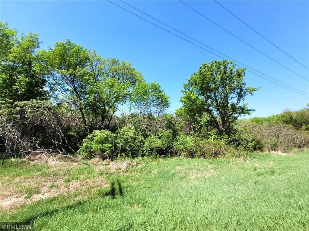Picture 20