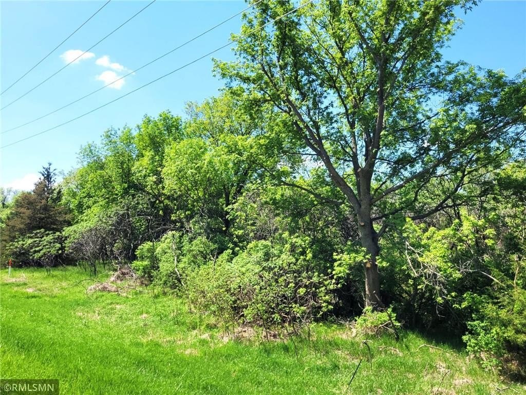 Picture 21