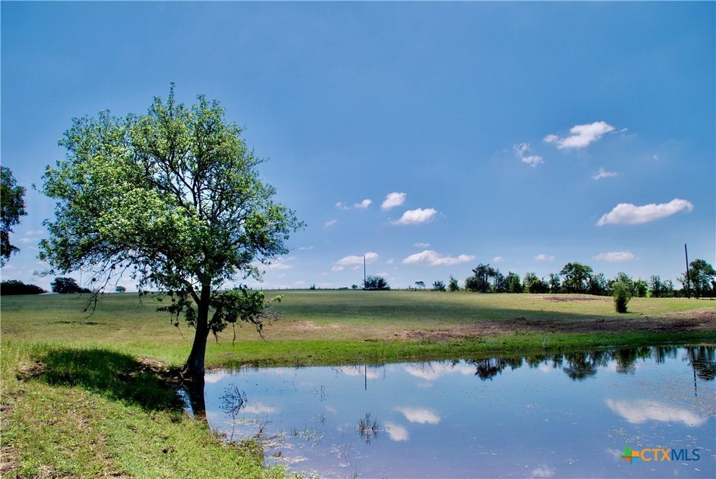 Picture 25