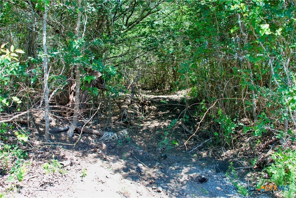 Picture 11