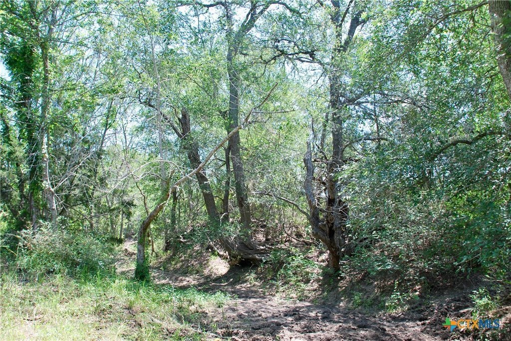 Picture 13