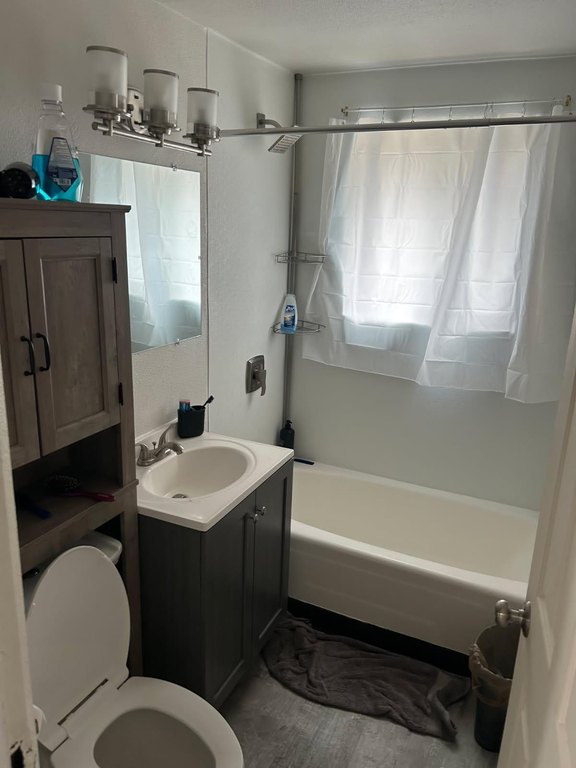 Picture 20