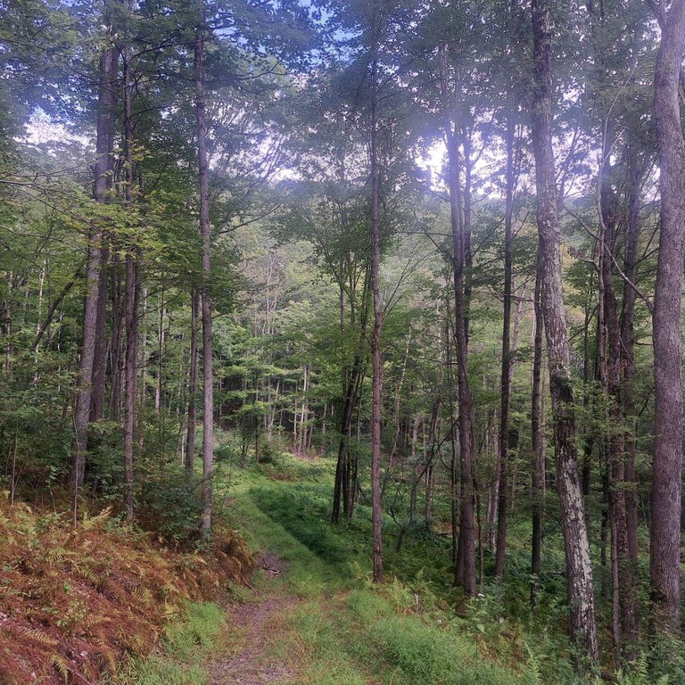 Picture 21