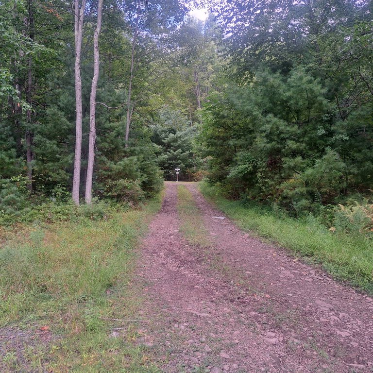 Picture 28