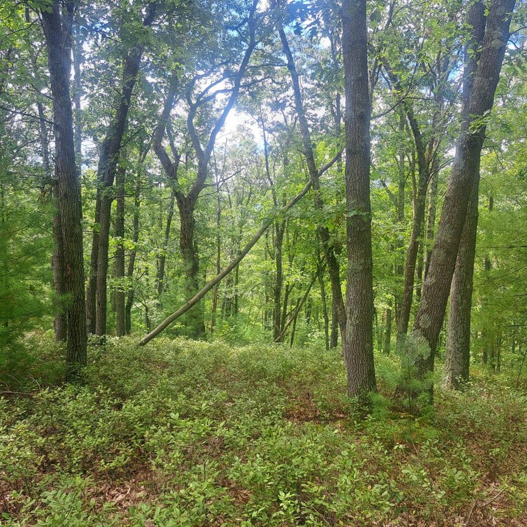 Picture 3