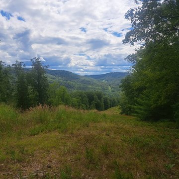 Ridgetop Hunting and Recreation Land
