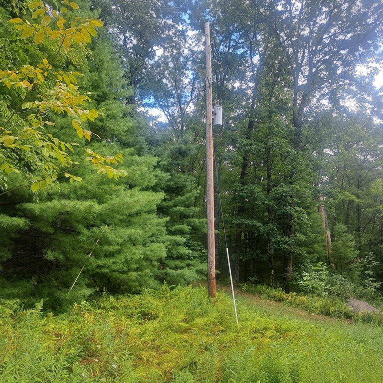 Picture 30