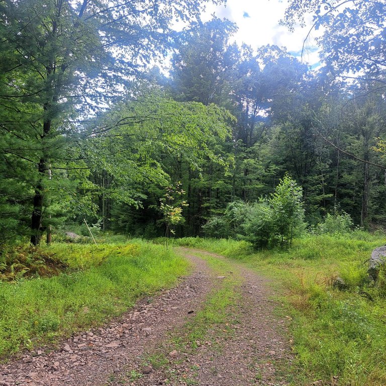 Picture 29