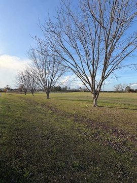Land, Nashville, GA