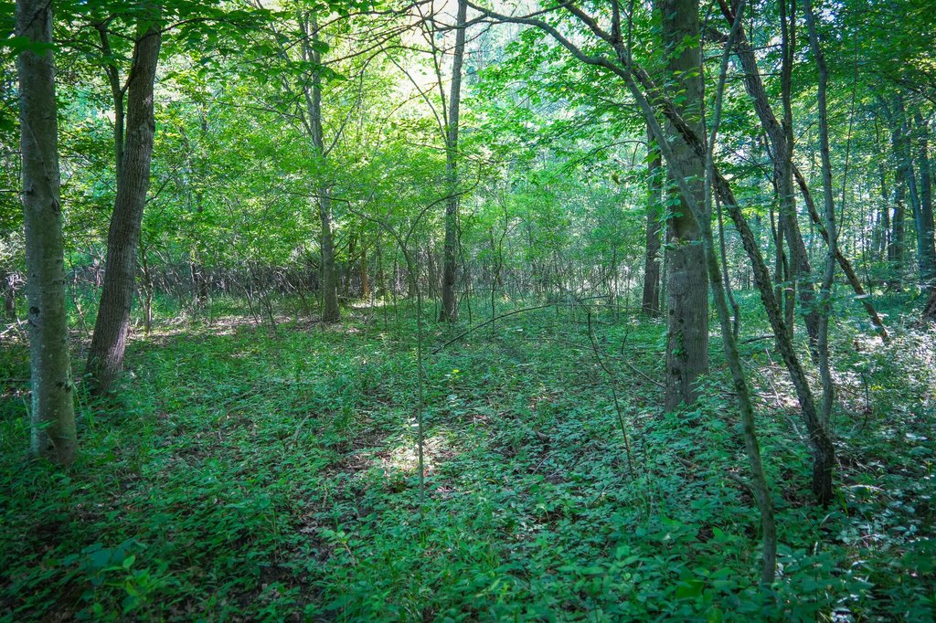 Picture 8