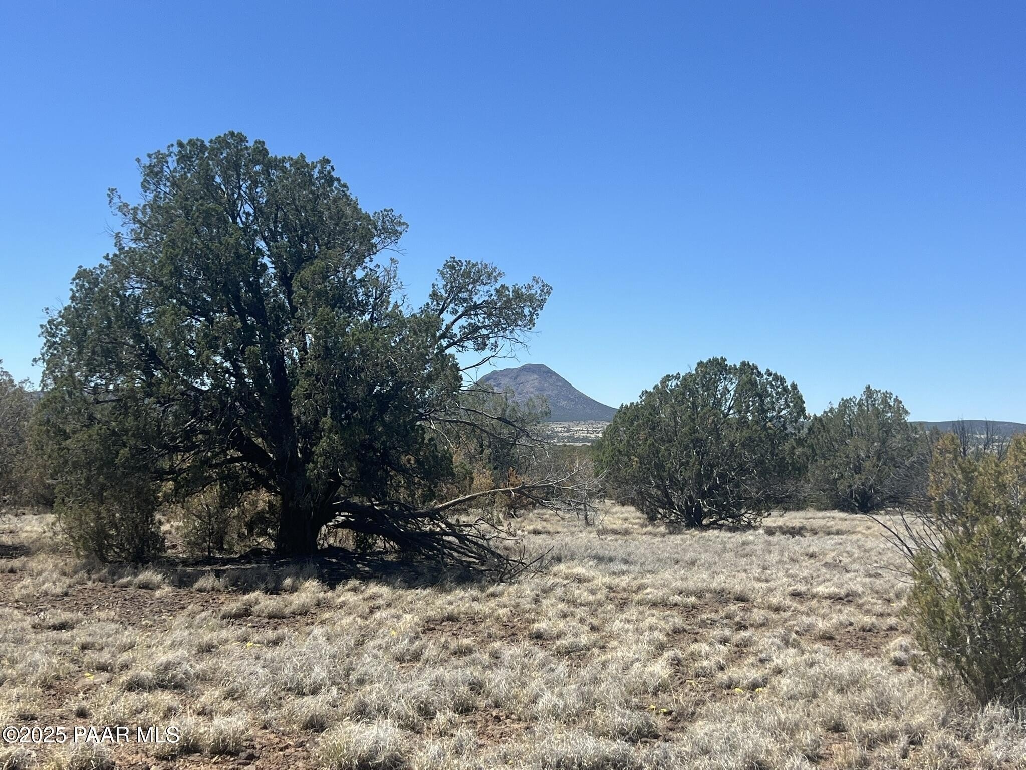 Land with Western Views